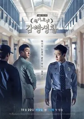 热播电视剧全集完播率观察